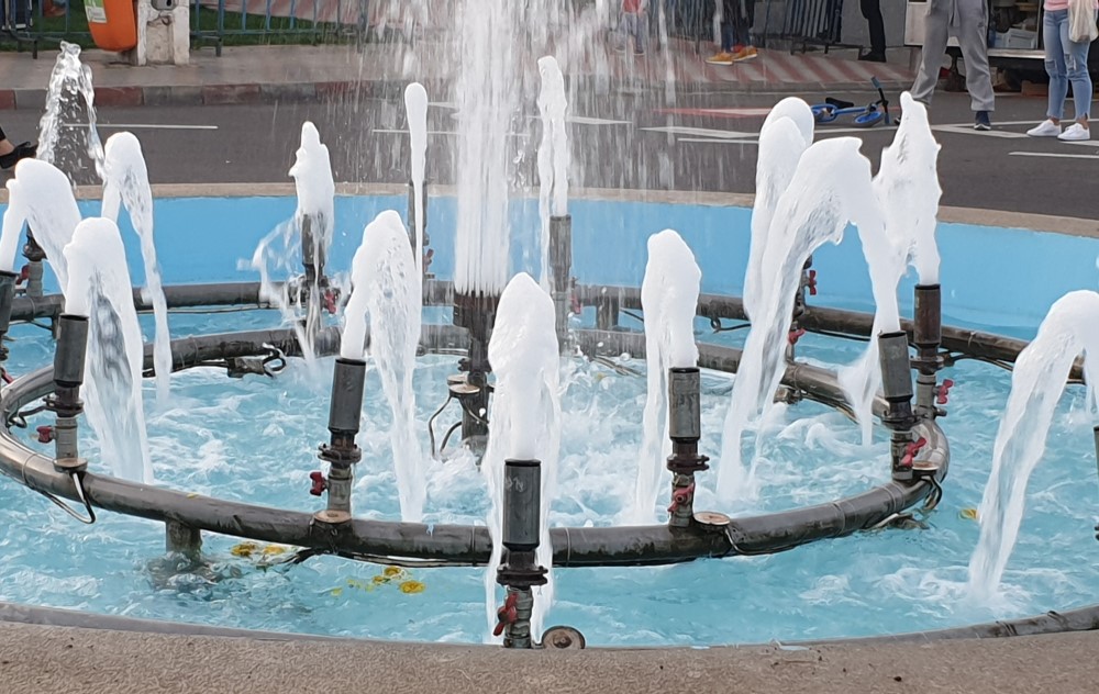 PETRE-ANCA-FOTO-LANSARE-CARTE