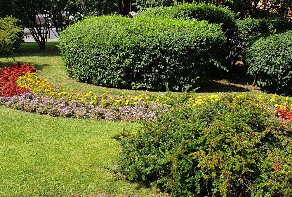 PETRE-ANCA-FOTO-VIAȚA-CA-O-VIAȚĂ! 10