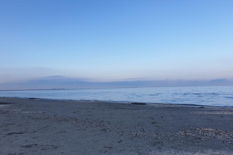 Apă - deshidratare - colesterol (pasaj din cartea ”STILUL DE VIAȚĂ-ÎNCOTRO? vol II)