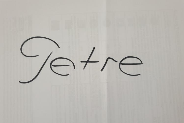  PETRE-ANCA-ARTICOL-NUME